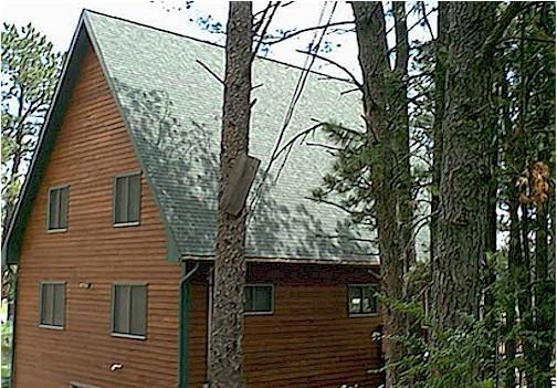 Thunderheart Villa Custer Luaran gambar