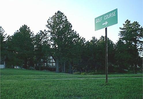 Thunderheart Villa Custer Luaran gambar